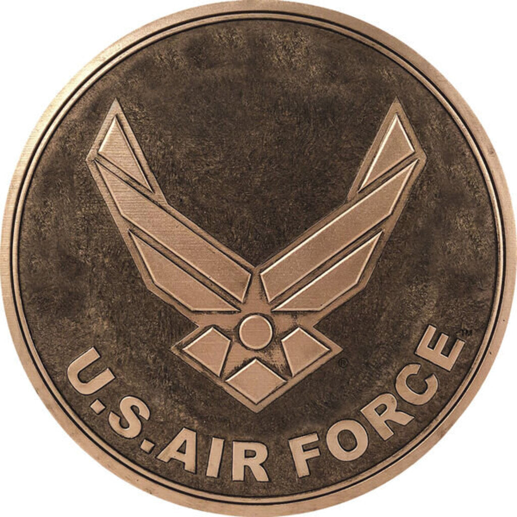 Air Force Bronze Stepping Stone