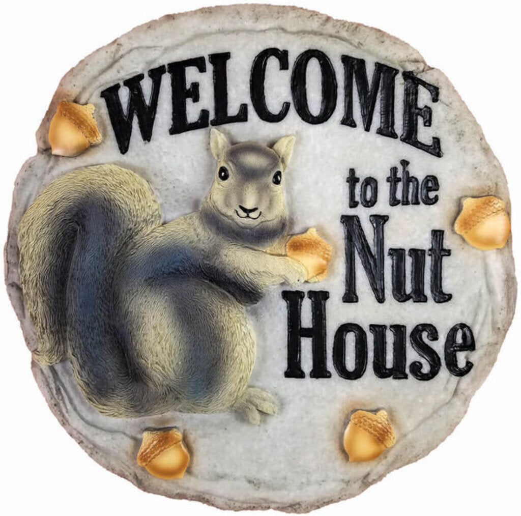 Welcome to the Nut House Stepping Stone