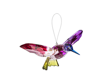Crystal Expressions Rainbow Hummingbird
