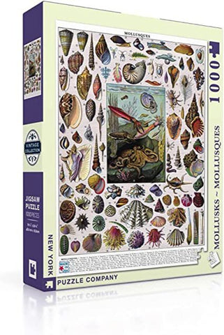 New York Puzzle Company - Vintage Images Mollusks - 1000 Piece Jigsaw Puzzle
