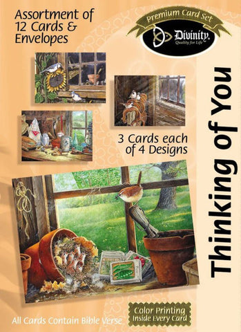 Boxed Cards - Thinking of You Barn Windows