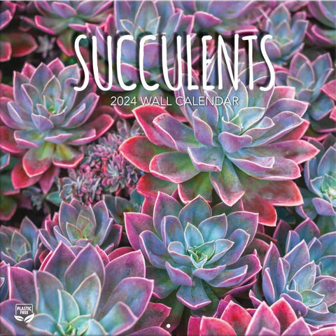 Lang 2024 Calendar - Succulents